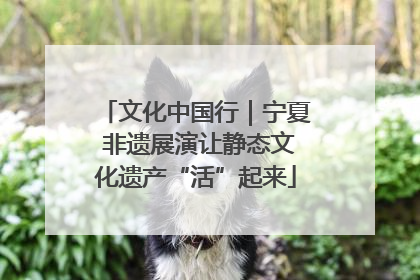 文化中国行｜宁夏 非遗展演让静态文化遗产“活”起来