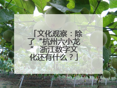 文化观察：除了“杭州六小龙” 浙江数字文化还有什么？