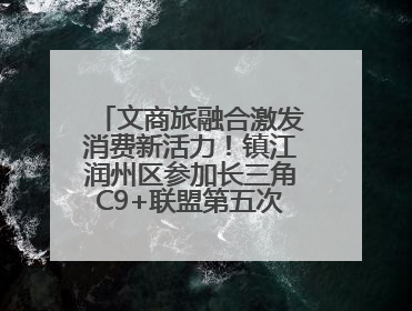 文商旅融合激发消费新活力！镇江润州区参加长三角C9+联盟第五次联席会议