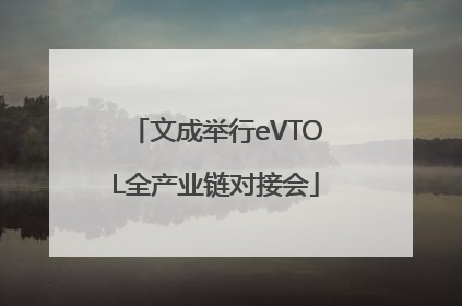 文成举行eVTOL全产业链对接会