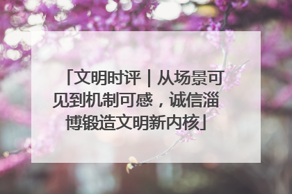 文明时评｜从场景可见到机制可感，诚信淄博锻造文明新内核