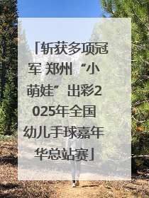 斩获多项冠军 郑州“小萌娃”出彩2025年全国幼儿手球嘉年华总站赛