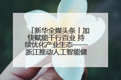 新华全媒头条丨加快赋能千行百业 持续优化产业生态——浙江推动人工智能健康有序发展观察