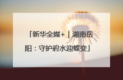 新华全媒+｜湖南岳阳：守护碧水迎蝶变