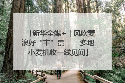 新华全媒+｜风吹麦浪好“丰”景——多地小麦机收一线见闻