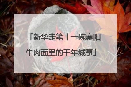 新华走笔丨一碗襄阳牛肉面里的千年城事
