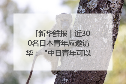 新华鲜报｜近300名日本青年应邀访华：“中日青年可以创造更好的未来”