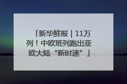 新华鲜报｜11万列！中欧班列跑出亚欧大陆“新时速”