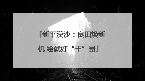 新平漠沙：良田焕新机 绘就好“丰”景