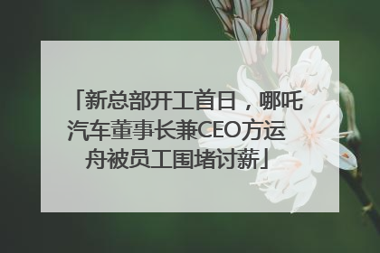 新总部开工首日，哪吒汽车董事长兼CEO方运舟被员工围堵讨薪