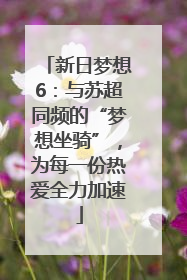 新日梦想6：与苏超同频的“梦想坐骑”，为每一份热爱全力加速