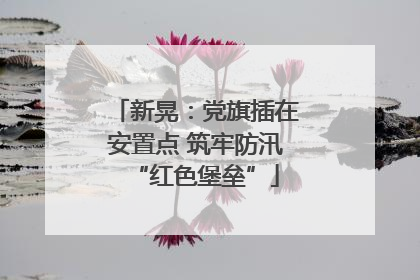 新晃：党旗插在安置点 筑牢防汛“红色堡垒”