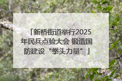 新桥街道举行2025年民兵点验大会 锻造国防建设“拳头力量”