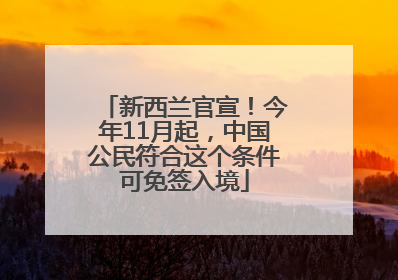 新西兰官宣！今年11月起，中国公民符合这个条件可免签入境
