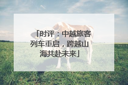 时评：中越旅客列车重启，跨越山海共赴未来