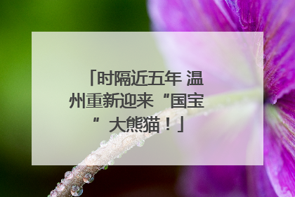 时隔近五年 温州重新迎来“国宝”大熊猫！