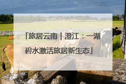 旅居云南｜澄江：一湖碧水激活旅居新生态