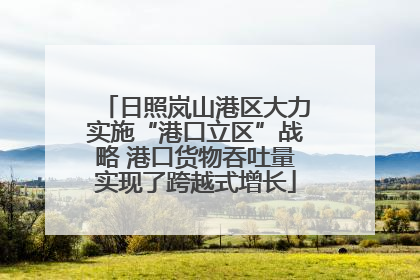 日照岚山港区大力实施“港口立区”战略 港口货物吞吐量实现了跨越式增长