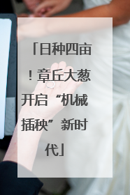 日种四亩！章丘大葱开启“机械插秧”新时代