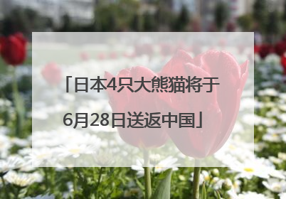 日本4只大熊猫将于6月28日送返中国