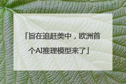 旨在追赶美中，欧洲首个AI推理模型来了