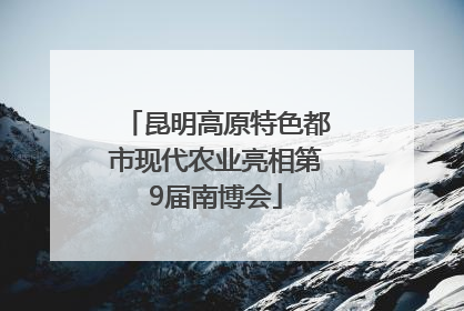 昆明高原特色都市现代农业亮相第9届南博会