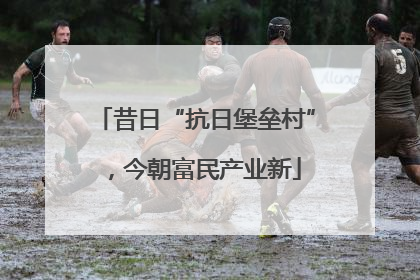 昔日“抗日堡垒村”，今朝富民产业新