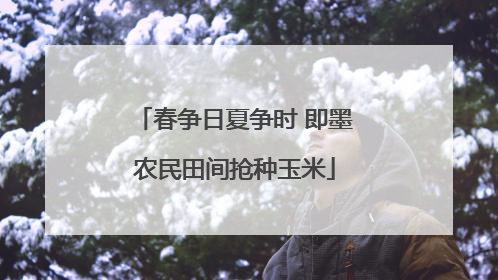 春争日夏争时 即墨农民田间抢种玉米