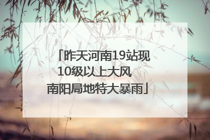 昨天河南19站现10级以上大风  南阳局地特大暴雨