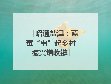 昭通盐津：蓝莓“串”起乡村振兴增收链