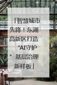 智慧城市先锋！东湖高新区打造“AI守护”基层治理新样板