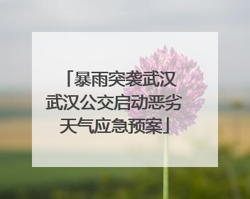 暴雨突袭武汉 武汉公交启动恶劣天气应急预案