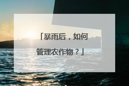 暴雨后，如何管理农作物？