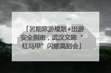 暑期旅游规划+出游安全指南，武汉文旅“红马甲”闪耀高招会