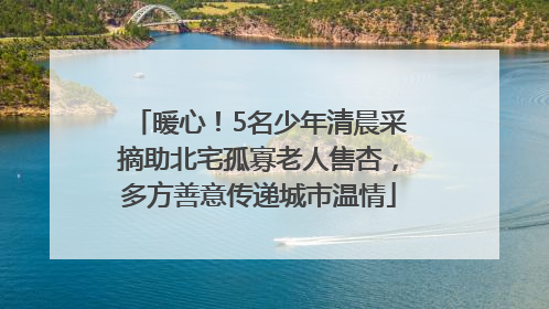 暖心！5名少年清晨采摘助北宅孤寡老人售杏，多方善意传递城市温情