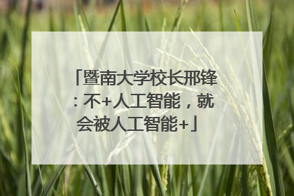 暨南大学校长邢锋：不+人工智能，就会被人工智能+