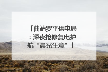 曲靖罗平供电局：深夜抢修复电护航“晨光生意”