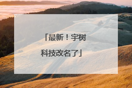 最新！宇树科技改名了