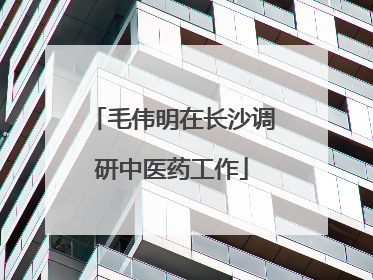 毛伟明在长沙调研中医药工作