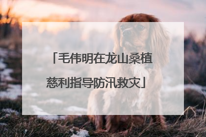 毛伟明在龙山桑植慈利指导防汛救灾