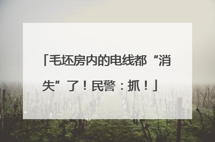 毛坯房内的电线都“消失”了！民警：抓！
