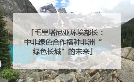 毛里塔尼亚环境部长：中非绿色合作播种非洲“绿色长城”的未来