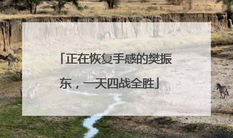 正在恢复手感的樊振东，一天四战全胜