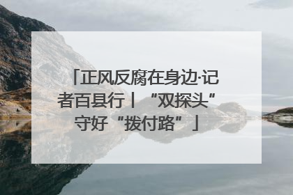 正风反腐在身边·记者百县行丨“双探头”守好“拨付路”