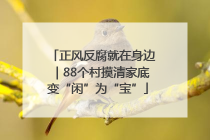 正风反腐就在身边｜88个村摸清家底变“闲”为“宝”
