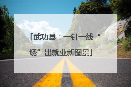 武功县：一针一线“绣”出就业新图景