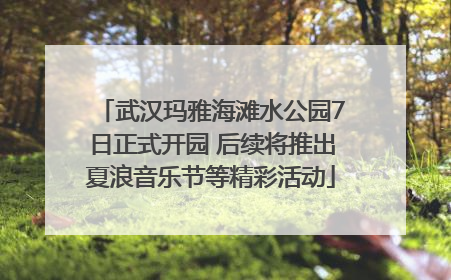 武汉玛雅海滩水公园7日正式开园 后续将推出夏浪音乐节等精彩活动