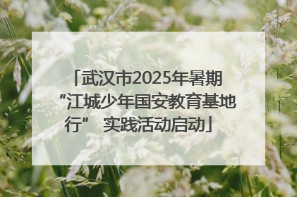 武汉市2025年暑期“江城少年国安教育基地行” 实践活动启动