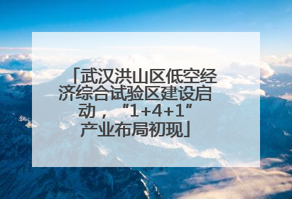 武汉洪山区低空经济综合试验区建设启动，“1+4+1”产业布局初现