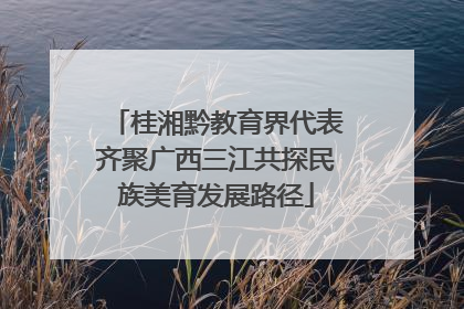 桂湘黔教育界代表齐聚广西三江共探民族美育发展路径